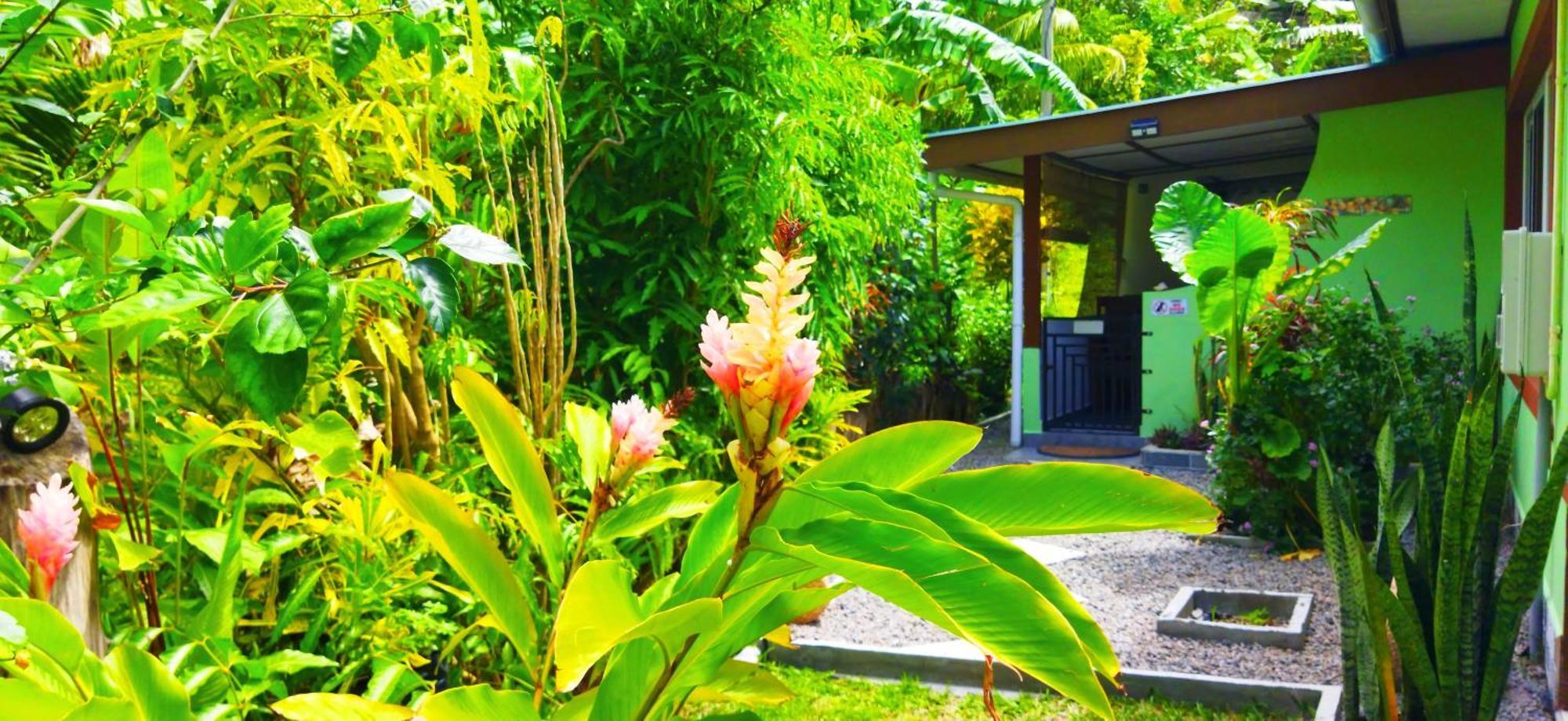 Dan Zoranz Self Catering Guest House La Digue Exterior photo